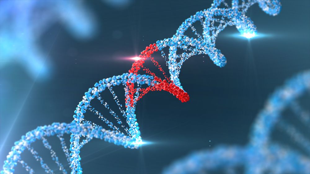 How Glutathione Supports DNA Repair and Production